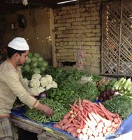 Bulandshahr vegetable market