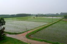 ꯐꯥꯏꯜ:Punjab Monsoon.jpg