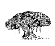 ꯐꯥꯏꯜ:Indian Election Symbol Tree.png