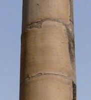 Delhi-Meerut pillar inscription
