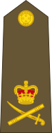 ꯐꯥꯏꯜ:New Zealand-Army-OF-8.svg