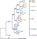 Thumbnail for version as of 16:11, 26 February 2012