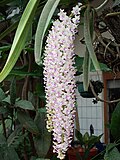 Thumbnail for version as of 09:01, 11 April 2012