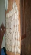 Balls ready to be kneaded